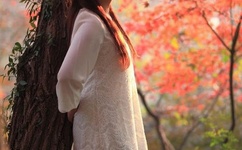 97精品人人A片免费看